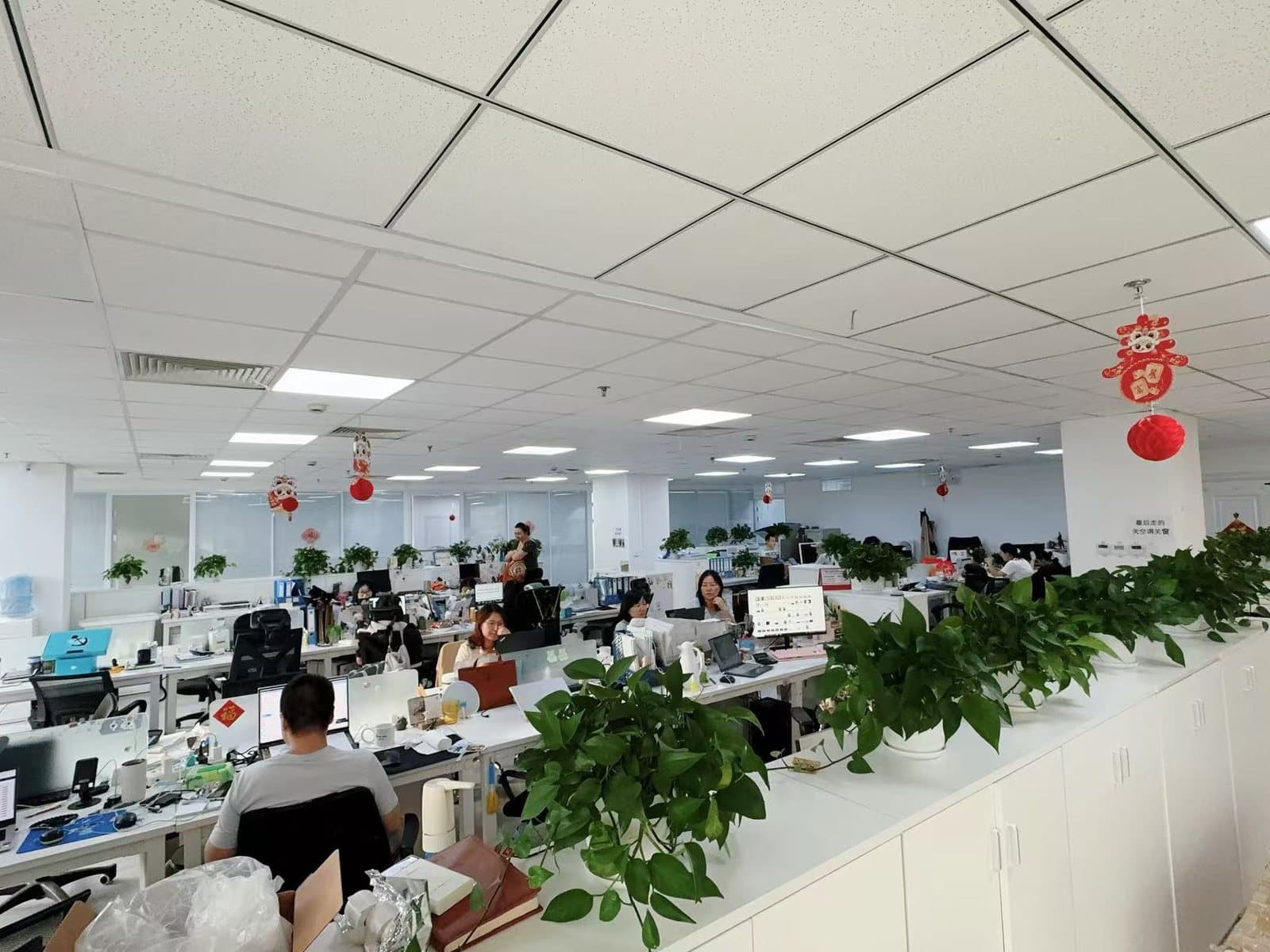 Starsurge Group team workspace